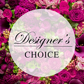 A Designers Choice