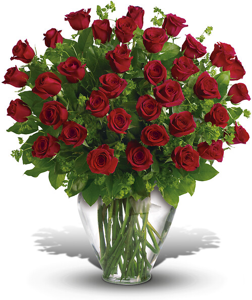 2 Dozen Long Stemmed Premium Red Roses