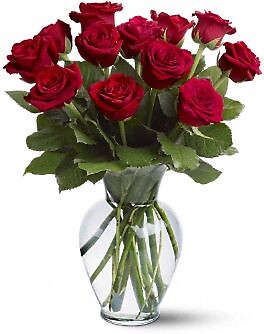 12 Red Roses