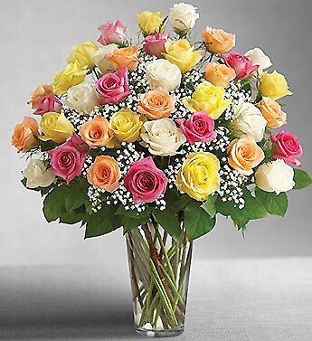 Three Dozen Premium Long Stem Assorted Roses