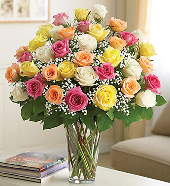 Two Dozen Premium Long Stem Assorted Roses