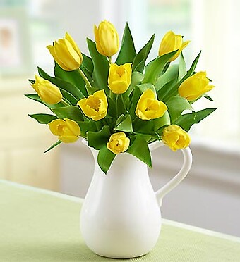 Yellow Tulips in Pitcher