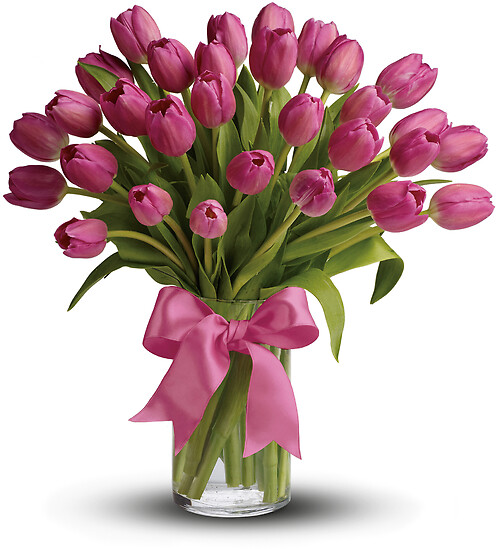 Precious Pink Tulips