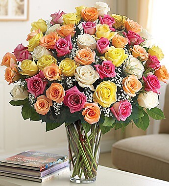 Two Dozen Premium Long Stem Assorted Roses