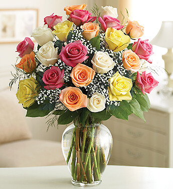 Two Dozen Premium Long Stem Assorted Roses