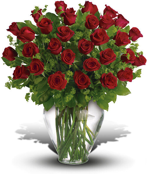 2 Dozen Long Stemmed Premium Red Roses