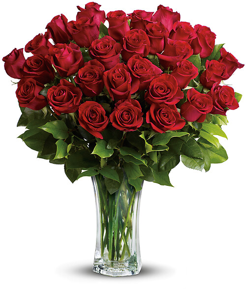 Love and Devotion - 2 Dozen Long Stemmed Red Roses