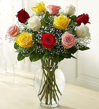 Rose Elegance Premium Long Stem Assorted Roses