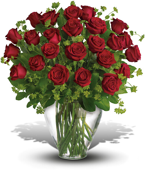 2 Dozen Long Stemmed Premium Red Roses